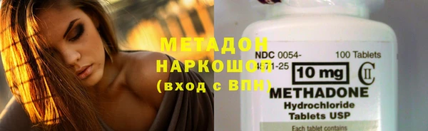 трава Белокуриха