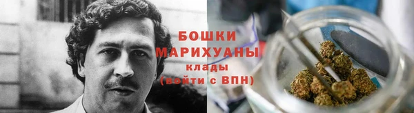 трава Белокуриха
