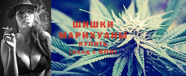 трава Белокуриха