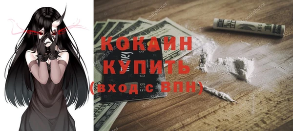 трава Белокуриха